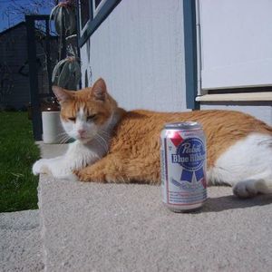 Meet your Posher, Chucky